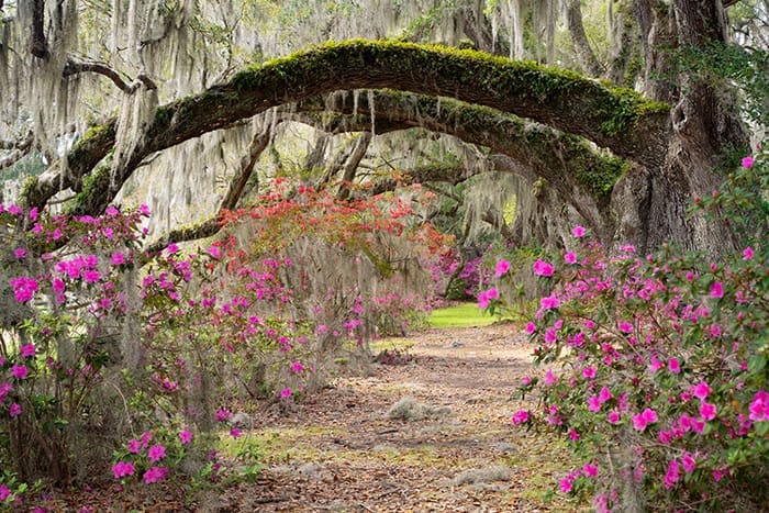 Planning-For-Springtime-In-Columbia Planning-For-Springtime-In-Columbia
